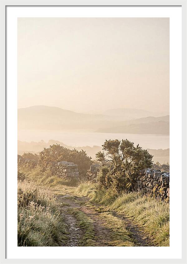 Serene Pathway Through Kerry