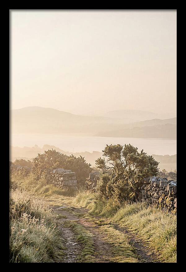 Serene Pathway Through Kerry