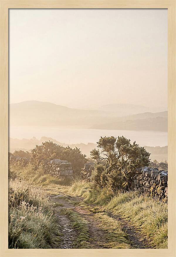 Serene Pathway Through Kerry