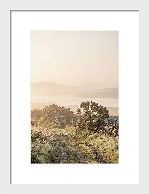 Serene Pathway Through Kerry