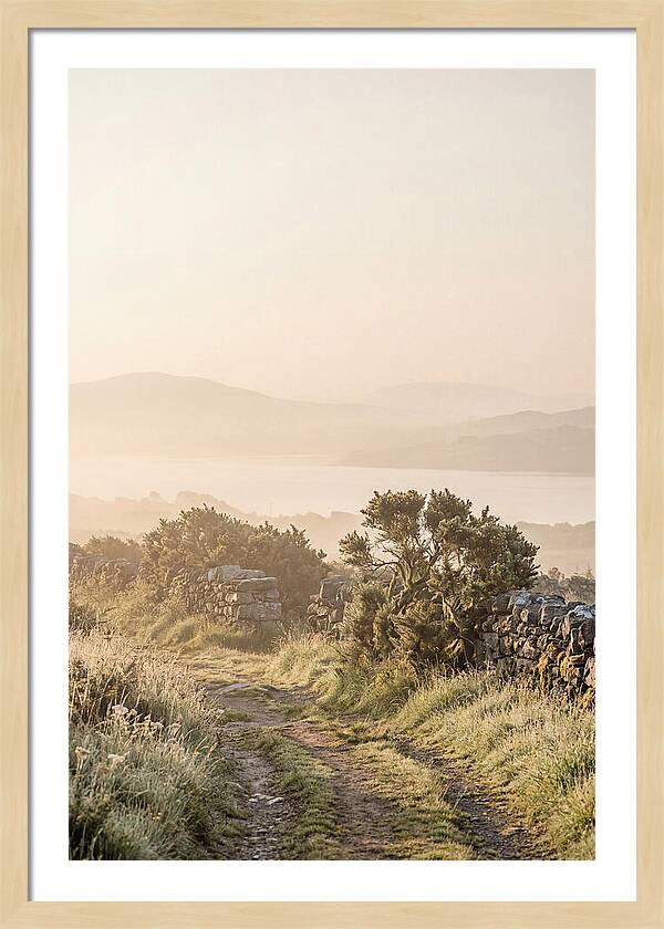 Serene Pathway Through Kerry