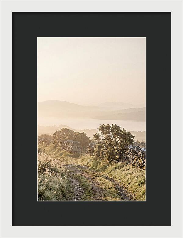 Serene Pathway Through Kerry