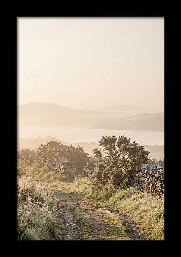 Serene Pathway Through Kerry