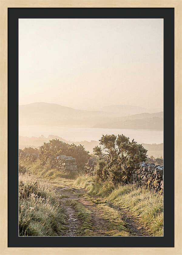 Serene Pathway Through Kerry