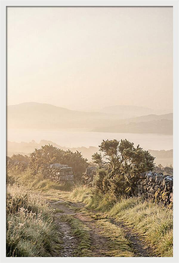 Serene Pathway Through Kerry