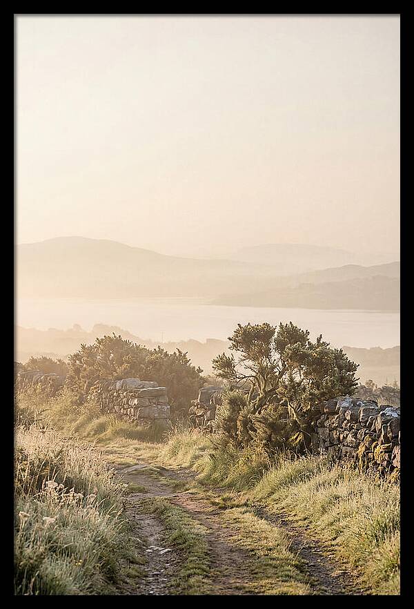 Serene Pathway Through Kerry