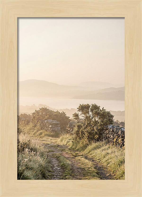 Serene Pathway Through Kerry