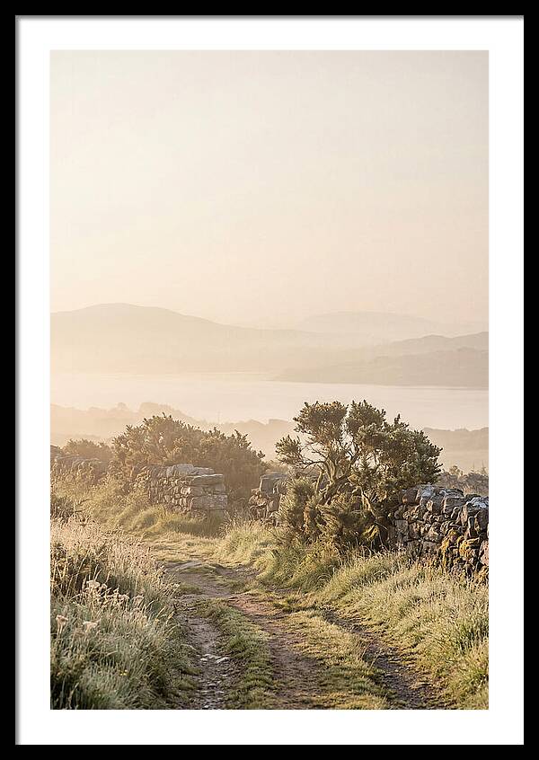 Serene Pathway Through Kerry