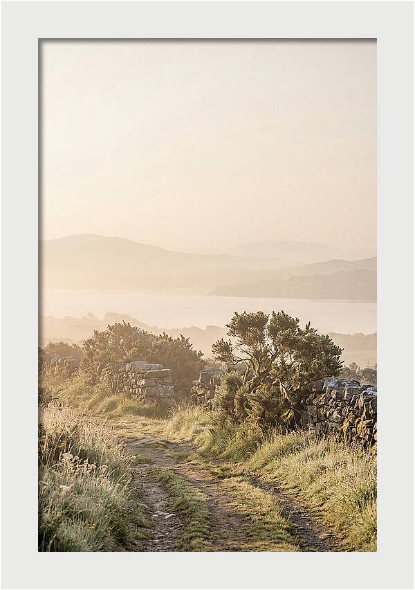 Serene Pathway Through Kerry