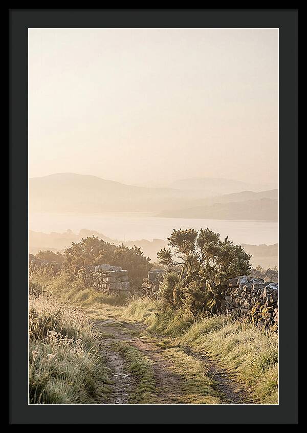Serene Pathway Through Kerry