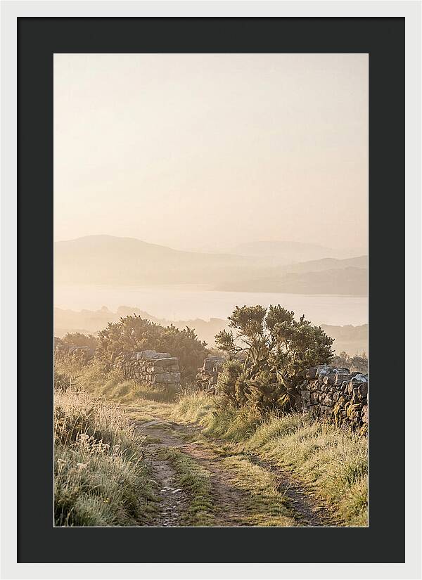 Serene Pathway Through Kerry