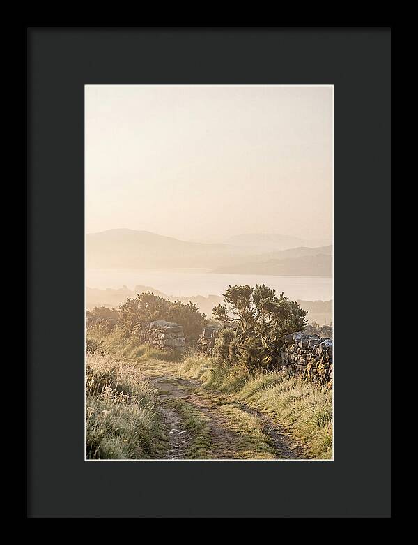 Serene Pathway Through Kerry