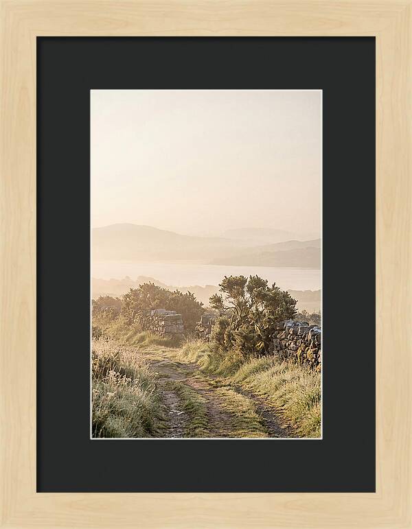 Serene Pathway Through Kerry
