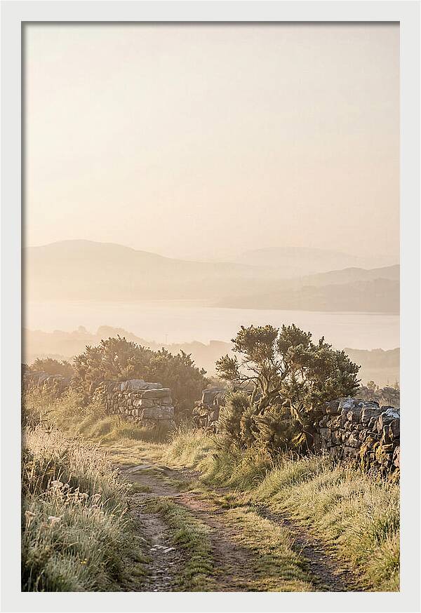 Serene Pathway Through Kerry