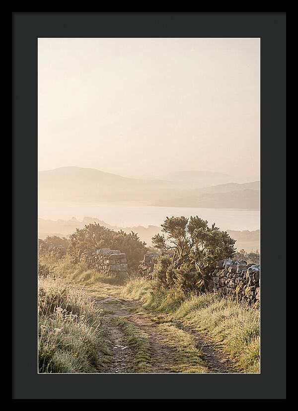 Serene Pathway Through Kerry