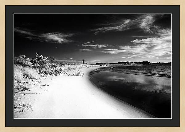 Serene Reflections At Race Point Beach