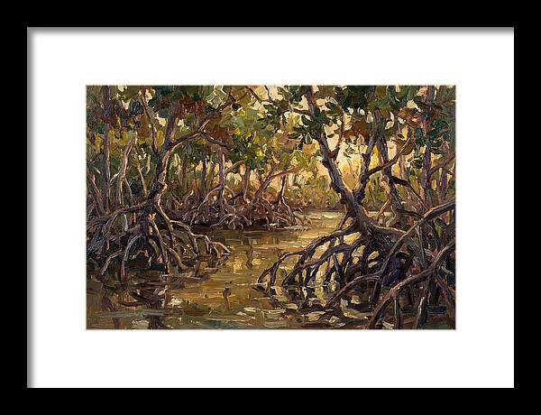 Serene Reflections In Mangroves