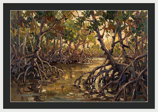 Serene Reflections In Mangroves