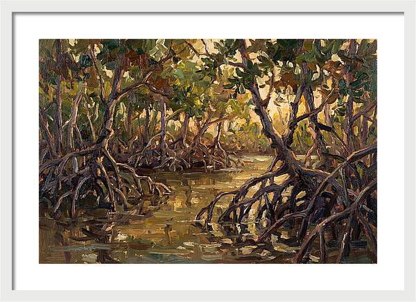Serene Reflections In Mangroves