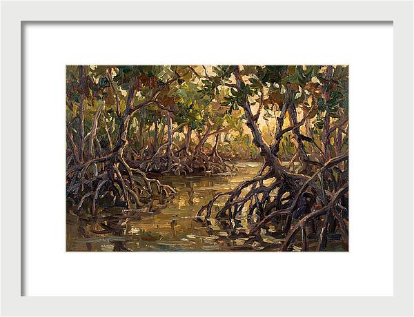 Serene Reflections In Mangroves