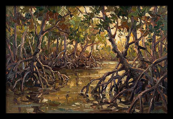 Serene Reflections In Mangroves