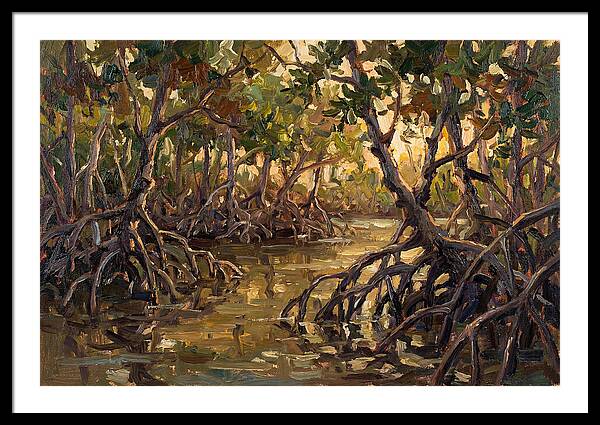 Serene Reflections In Mangroves