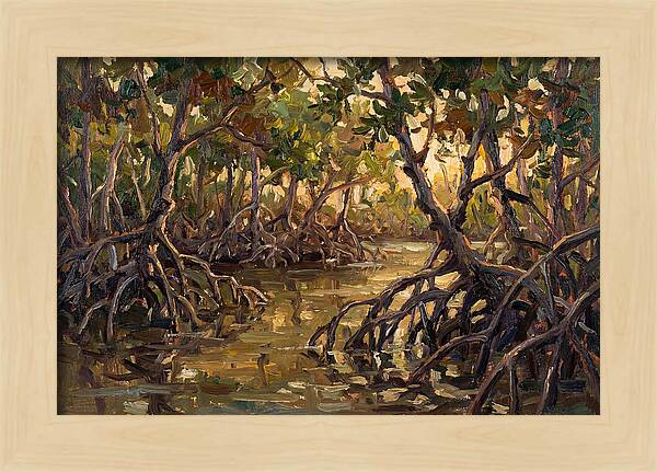 Serene Reflections In Mangroves