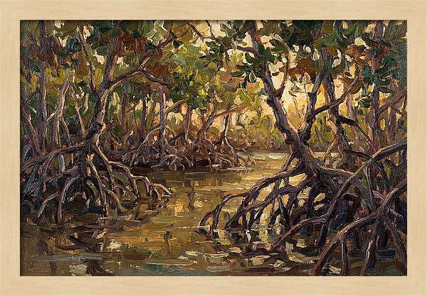 Serene Reflections In Mangroves