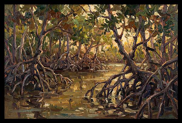 Serene Reflections In Mangroves