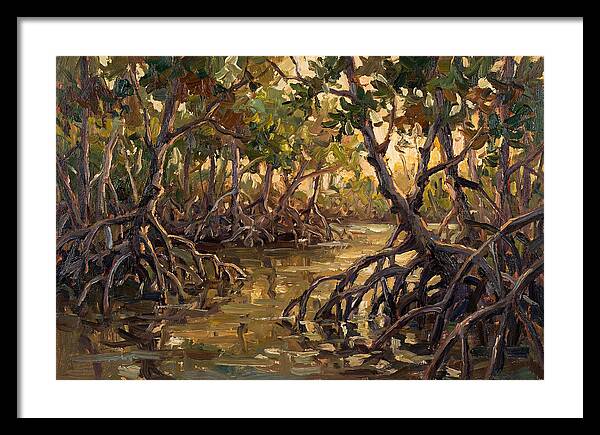 Serene Reflections In Mangroves