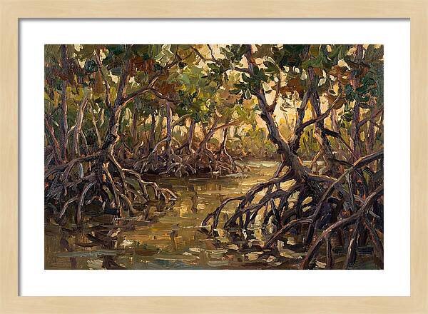 Serene Reflections In Mangroves