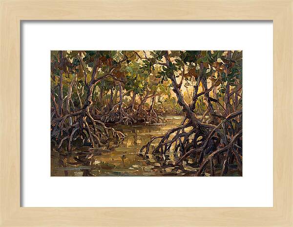 Serene Reflections In Mangroves