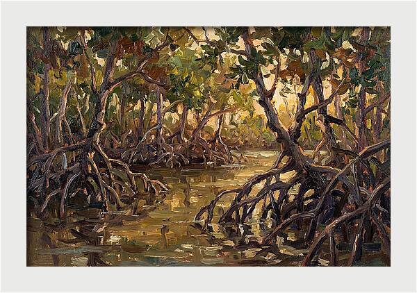 Serene Reflections In Mangroves