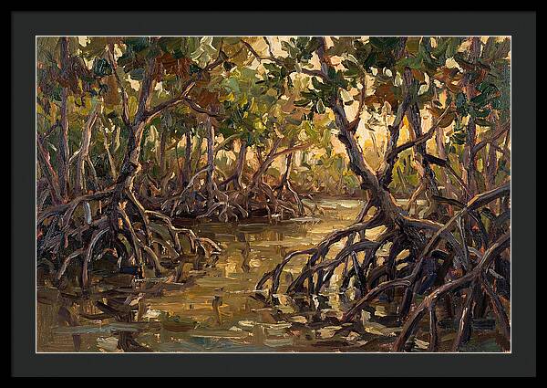 Serene Reflections In Mangroves