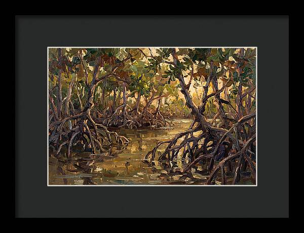Serene Reflections In Mangroves