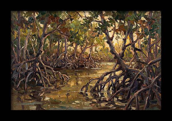 Serene Reflections In Mangroves