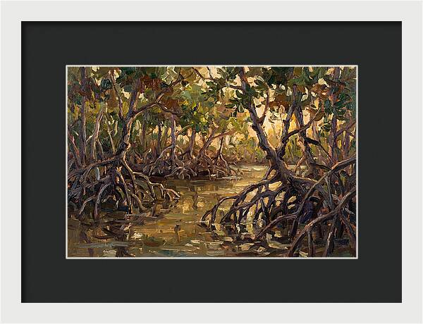 Serene Reflections In Mangroves