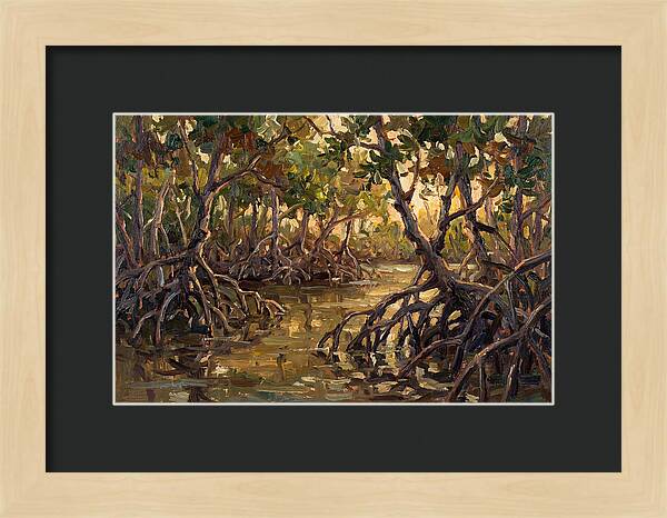 Serene Reflections In Mangroves