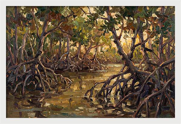 Serene Reflections In Mangroves