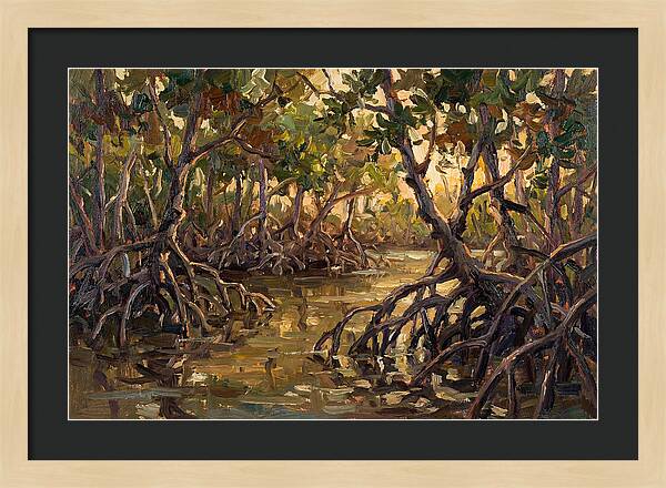 Serene Reflections In Mangroves