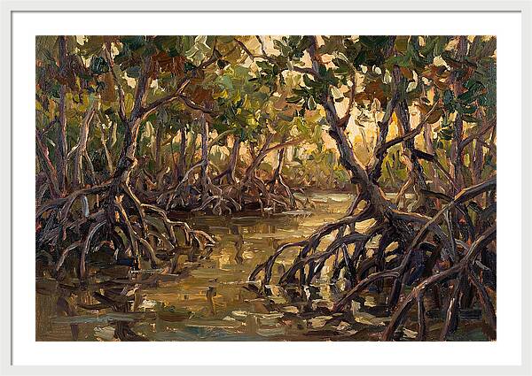 Serene Reflections In Mangroves