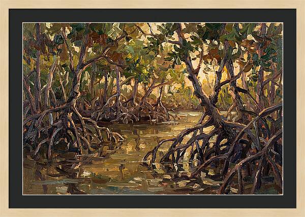 Serene Reflections In Mangroves