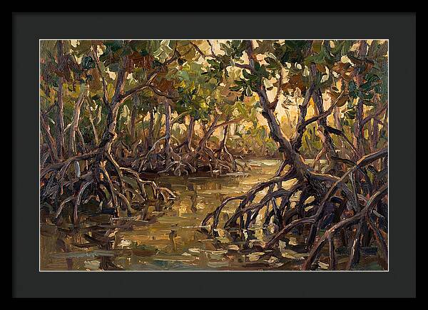 Serene Reflections In Mangroves