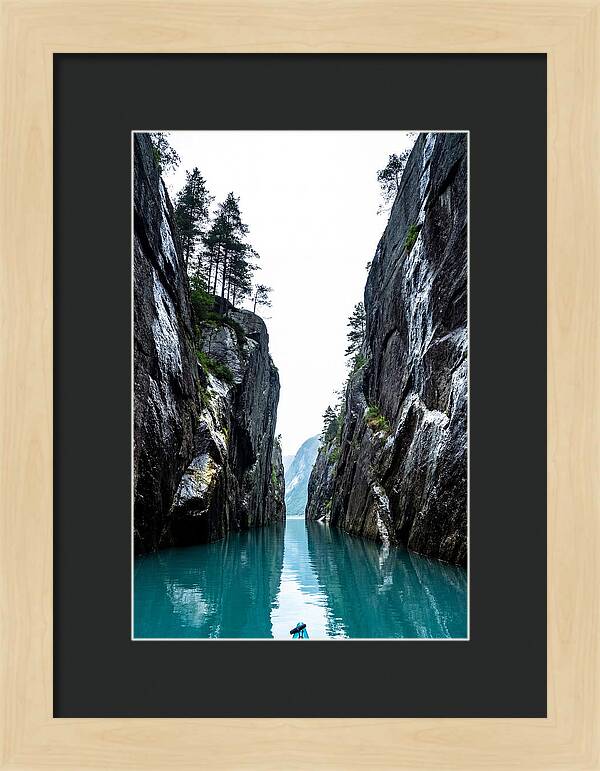 Serene Reflections In The Fjord