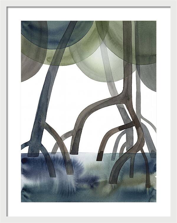 Serene Reflections In The Mangroves