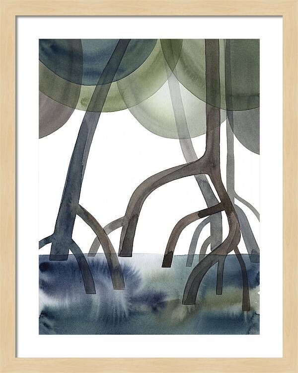 Serene Reflections In The Mangroves