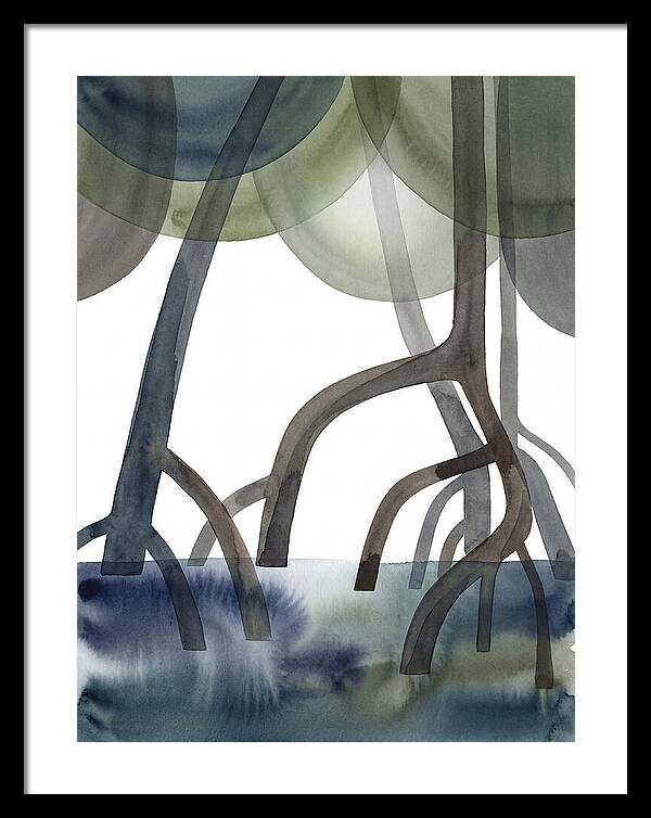 Serene Reflections In The Mangroves