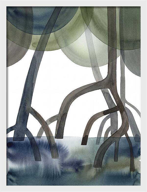 Serene Reflections In The Mangroves