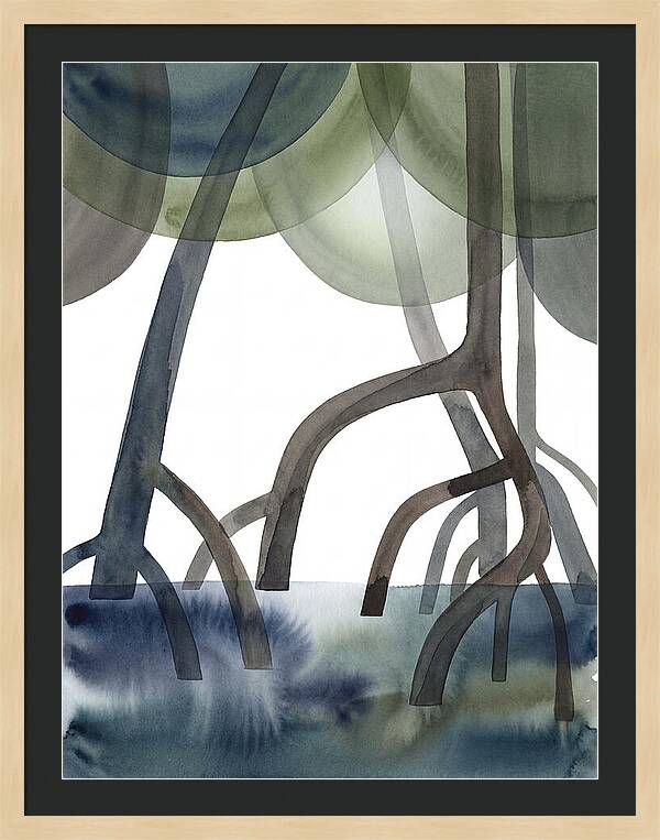 Serene Reflections In The Mangroves