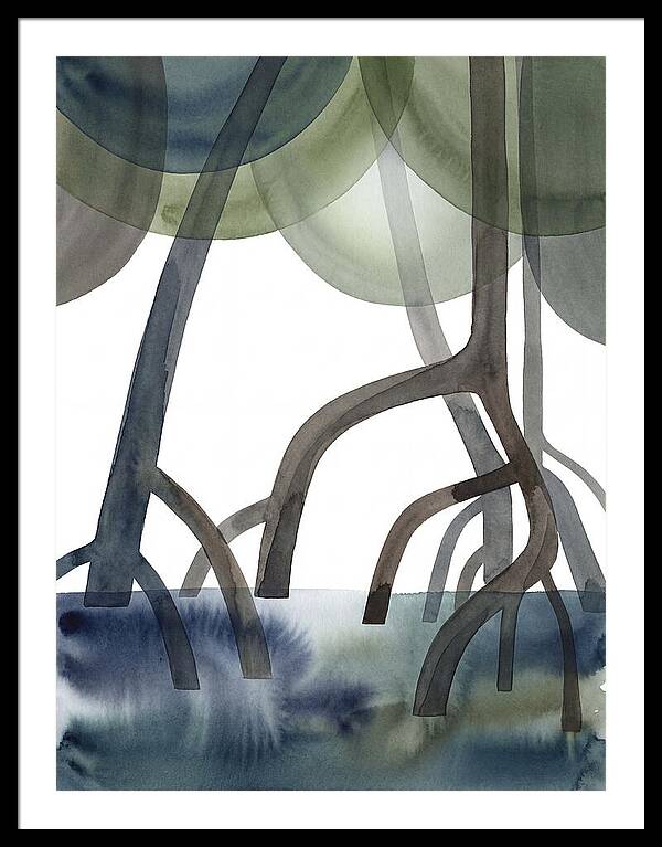 Serene Reflections In The Mangroves